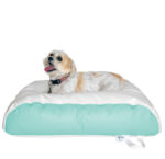 My boat’s lounge showcases an Ocean-Tamer mint green and white Bean bag bed for dog, where my fluffy pup relaxes comfortably onboard.