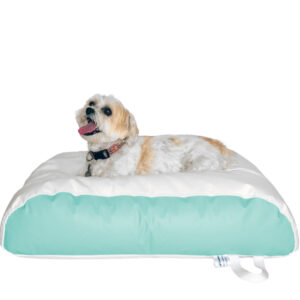 my boat’s lounge showcases an ocean-tamer mint green and white bean bag bed for dog, where my fluffy pup relaxes comfortably onboard.