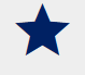 as a boat owner, i love this blue star on white, inspired by ocean tamer marine bean bags—perfect for durable, stylish seating. marine bean bag